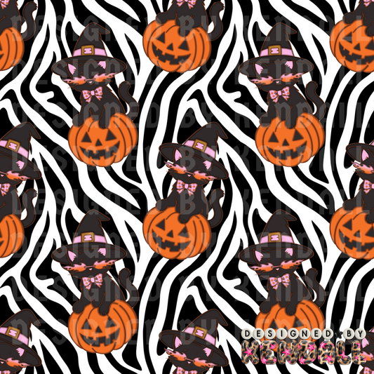 spooky kitty